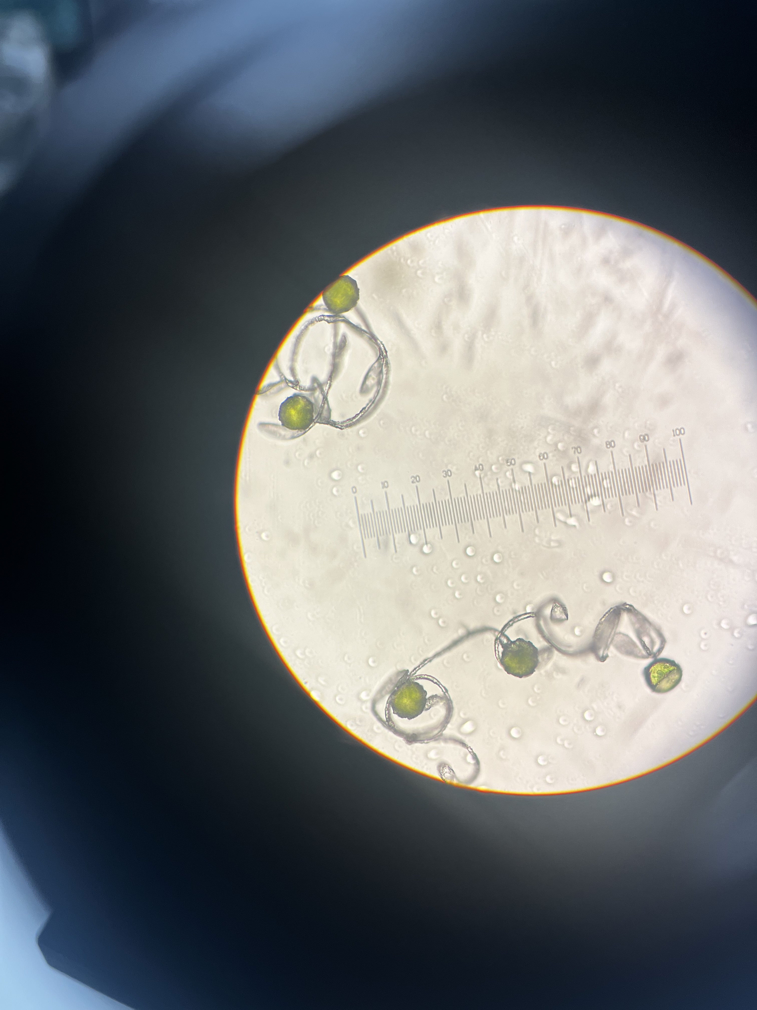 Secondary School Biology