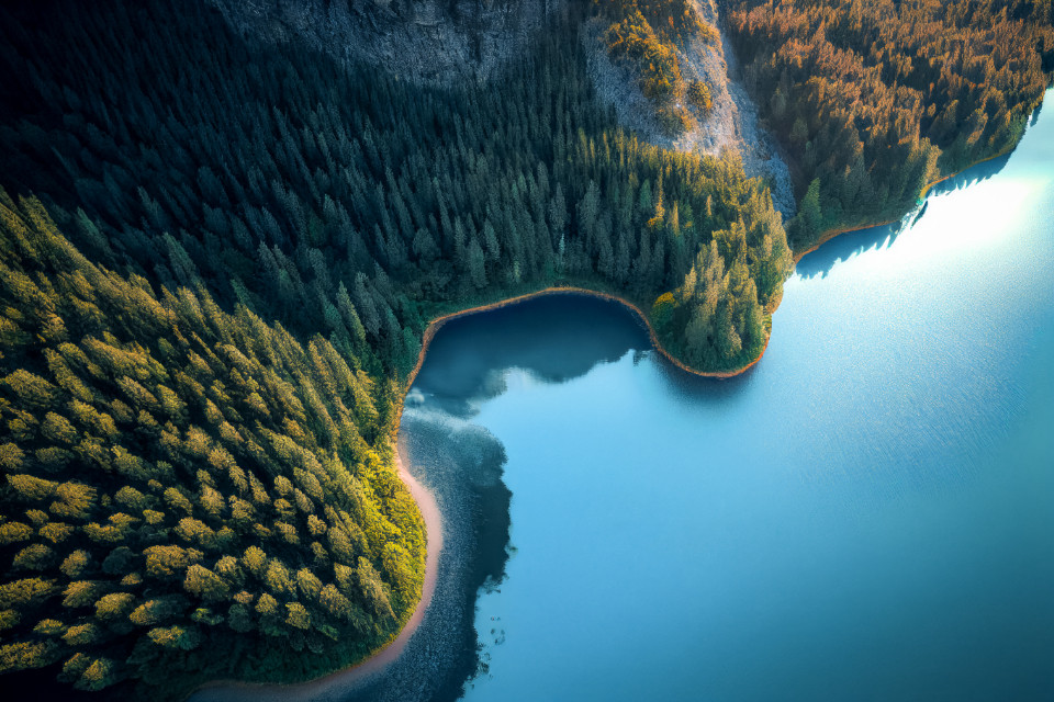 Ecology &amp; Environmental Science